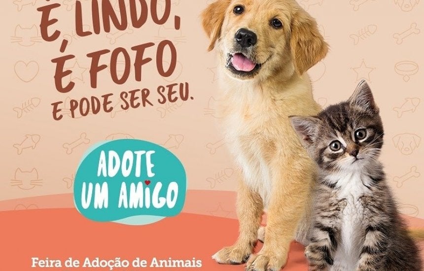 Casa da ração e ONG promovem feira de adoção de Pet em Guarantã do Norte