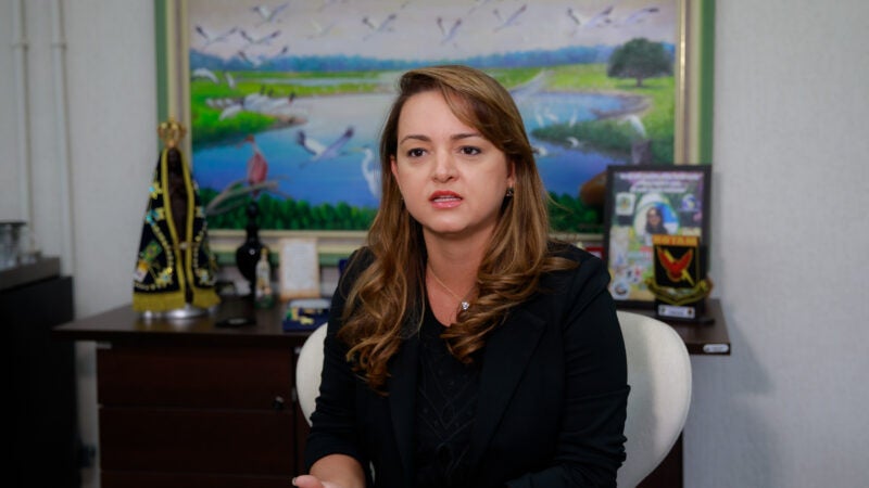 Secretária diz que Mato Grosso ‘está à frente na corrida por fontes de energia limpas com 95% de geração renovável’