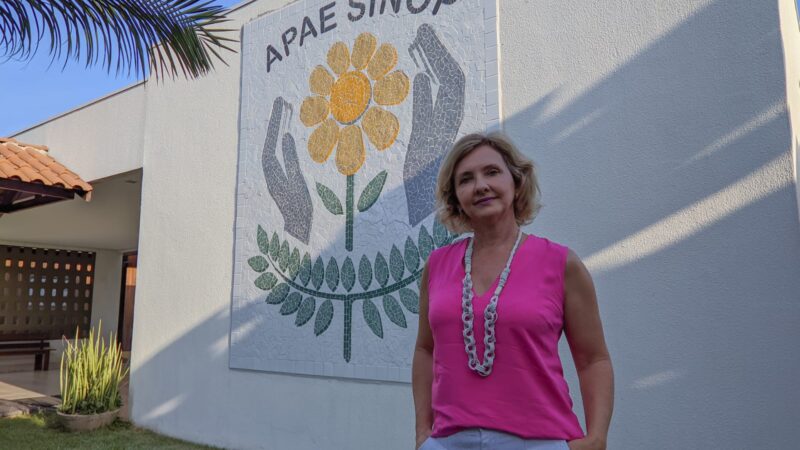 Mari Bueno doa obra em mosaico com mais de 3 metros para Apae Sinop