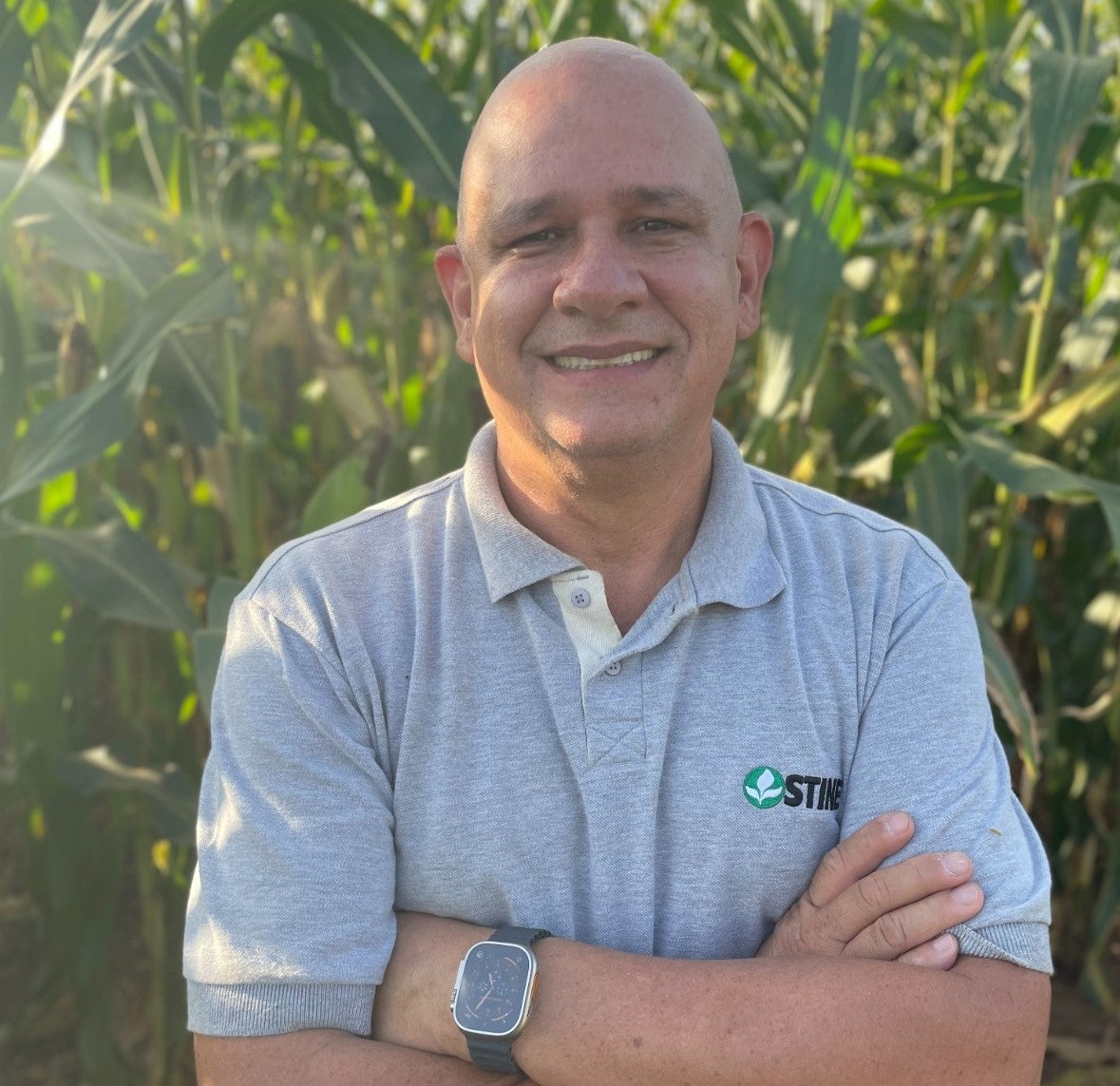 Stine amplia equipe e lança ofensiva para venda de sementes de milho e variedades de soja no Centro-Oeste