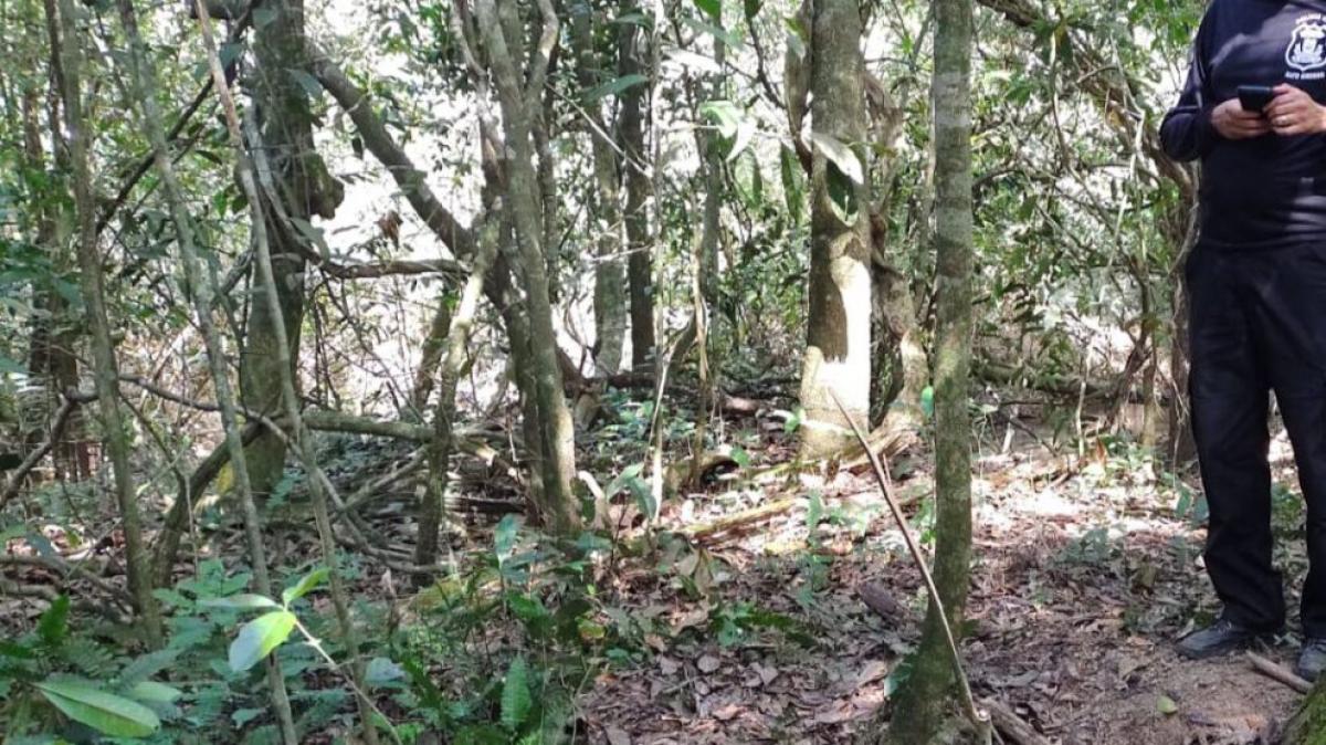 Polícia encontra corpo em decomposição com membros amarrados em área rural