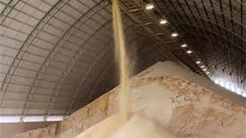 Farelo de soja em Mato Grosso 8% e óleo 49% em relação ao ano passado, diz IMEA