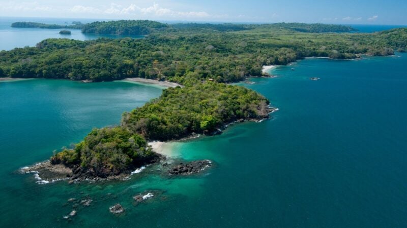 Com dois oceanos para explorar, Panamá é destino certo para quem pratica pesca esportiva