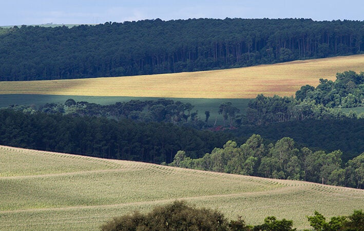 Câmara analisará novamente se adesão ao Programa de Regularização Ambiental passará a ser de 1 ano