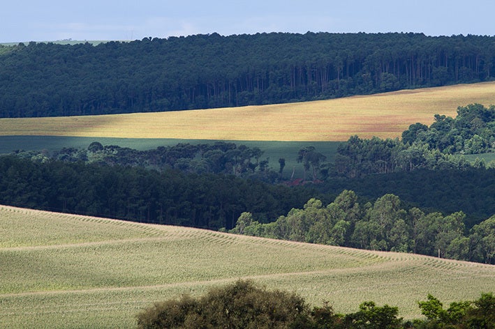 Câmara analisará novamente se adesão ao Programa de Regularização Ambiental passará a ser de 1 ano