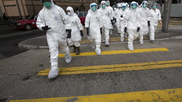 Brasil confirma mais 2 casos de gripe aviária, e número sobe para 5