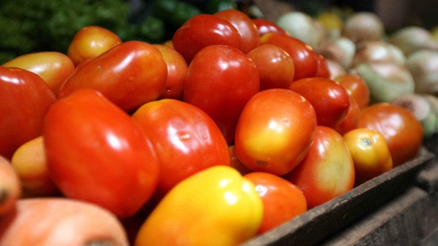 Valor Bruto da Produção Agropecuária de 2023 é estimado em R$ 1,216 trilhão