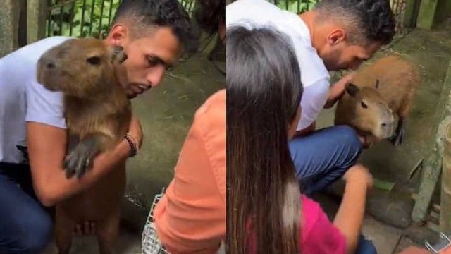 Tiktoker recupera capivara Filó depois de liminar da Justiça