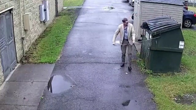 Urso preso em contentor de lixo assusta professor. Veja o momento