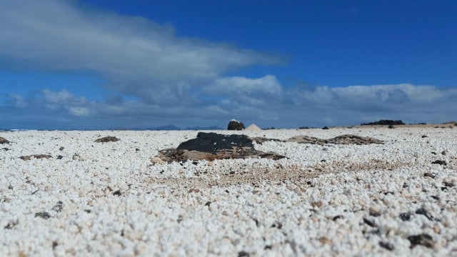 "Praia das Pipocas" ameaçada por turistas que querem levar a areia embora
