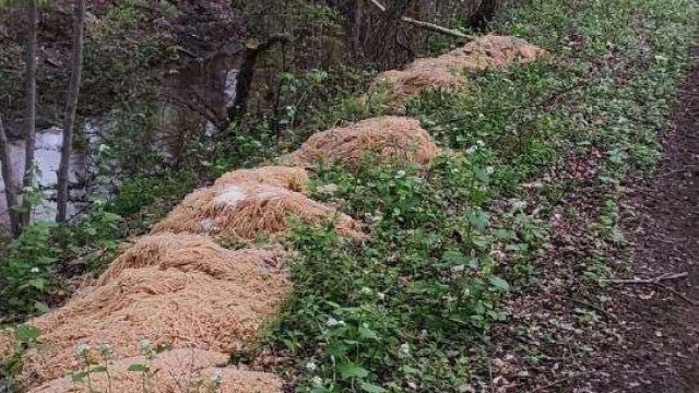 Margem de rio coberta de massa? Razão pode ser mais triste do que pensa