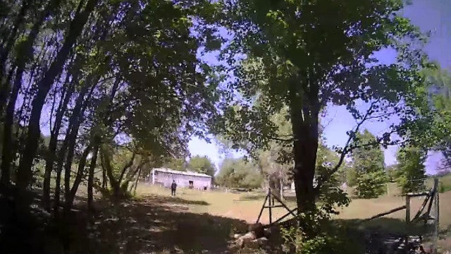 Policiais atendem chamado de ajuda, mas encontram cabra angustiada