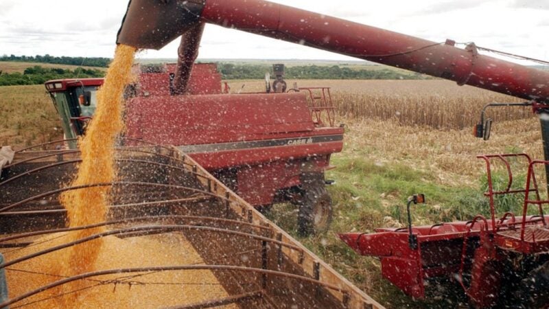 Em 2022, cadeia de soja e biodiesel representou 27% do PIB do agronegócio brasileiro e gerou 2 milhões de empregos