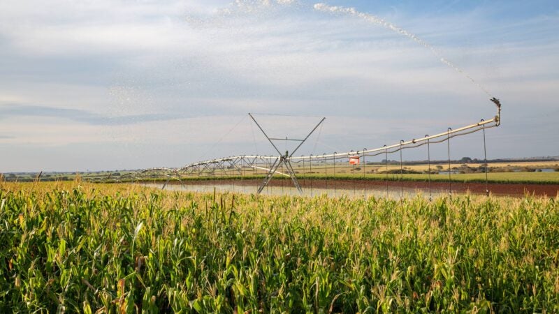 Junho é o mês de reflexão sobre iniciativas sustentáveis para a agricultura