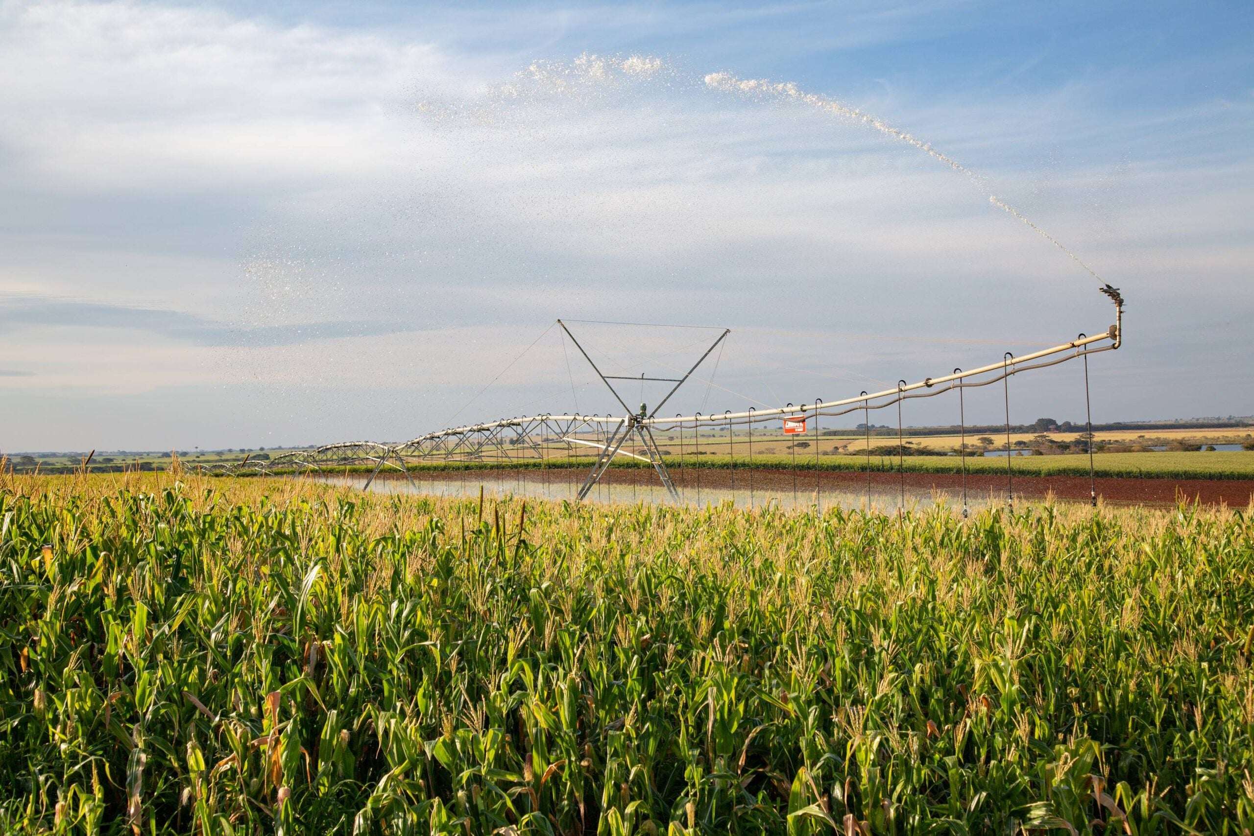 Junho é o mês de reflexão sobre iniciativas sustentáveis para a agricultura