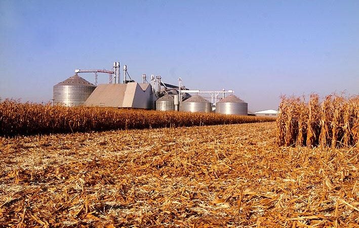 Venda de milho em Mato Grosso cresce 5,9% pressionada por falta de espaço em armazéns