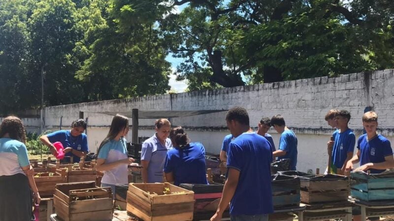 Hortas implantadas em escolas de Sinop agregam no conhecimento e na alimentação dos estudantes