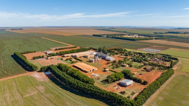 Sementeira de Mato Grosso é a única do segmento no ranking agro de médias empresas do GPTW