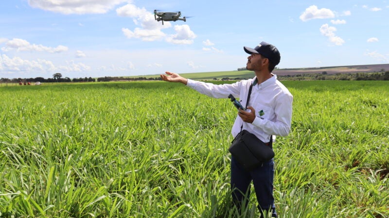 Intensificação da pecuária depende de tecnologia aliada à gestão pessoas