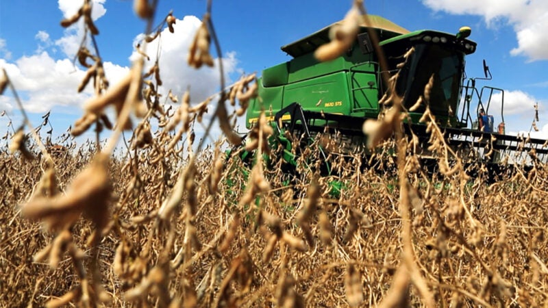 Custo operacional da soja em Mato Grosso cai
