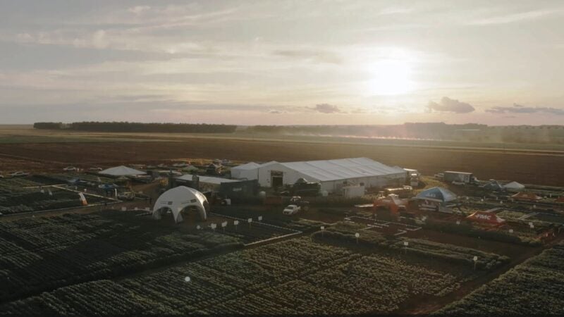 Evento no Centro-Oeste levará produtores brasileiros de algodão para imersão na cultura