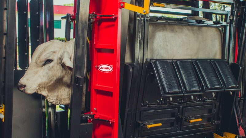 Coimma apresenta soluções para a pecuária mato-grossense, durante a 3ª Oeste Rural Show