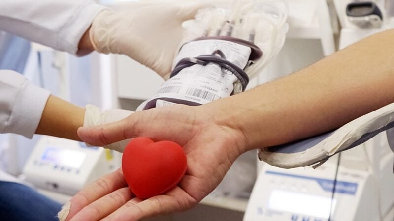 Doar sangue é seguro? Veja mitos e verdades sobre esse ato que salva vidas