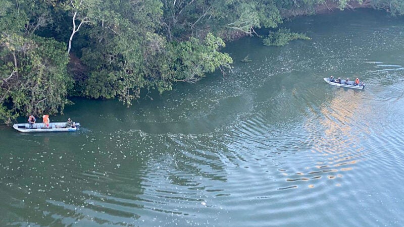 Cepesca não se manifestou contrário ao projeto proibindo transporte zero de peixes em MT