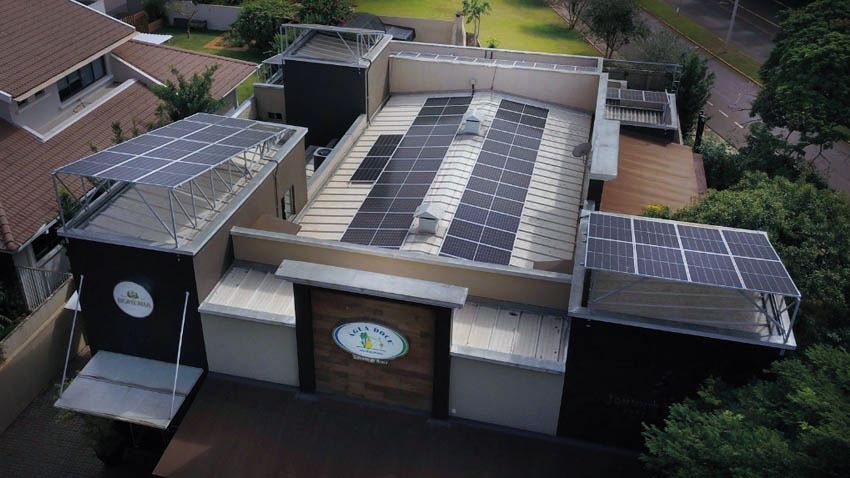 No Dia Mundial do Meio Ambiente, veja quais são as iniciativas das franquias com foco em ESG