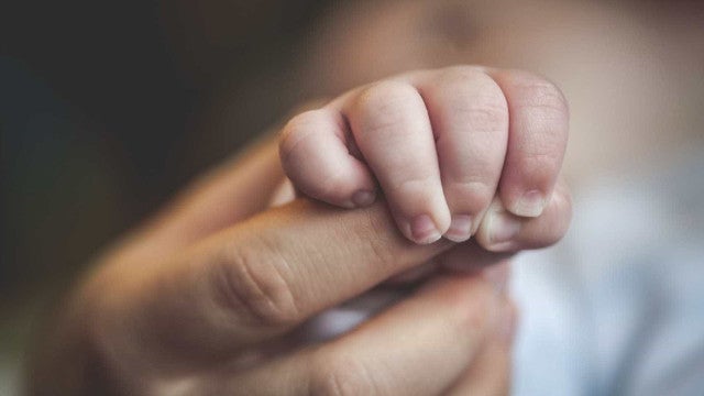 Corpo de criança de 2 anos desaparecida em Londrina é encontrado