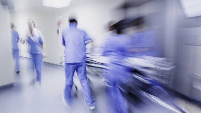 Confirmada quarta morte por febre maculosa em Campinas