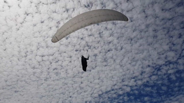 Piloto de parapente fica preso em árvore de 12 metros em Florianópolis