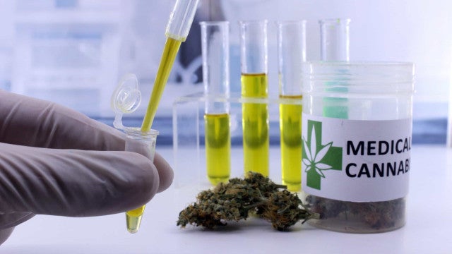 SP define doenças que serão tratadas com cannabis medicinal pelo SUS