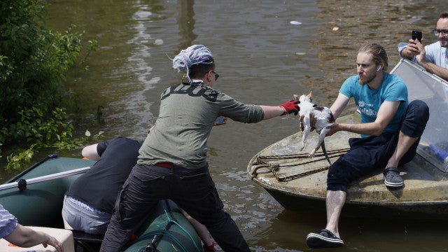 Inundação na Ucrânia tem de minas boiando a resgate de pets
