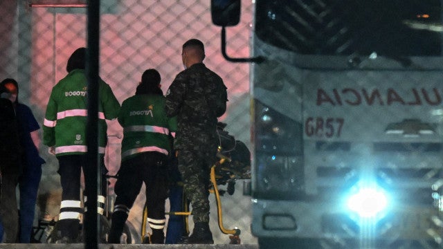 Bebê resgatado completou 1 ano na selva da Colômbia, e ‘cão herói’ está desaparecido