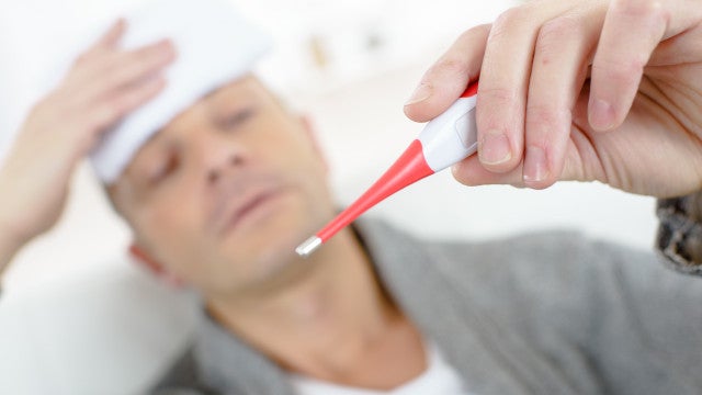 Conheça os três perfis da febre maculosa no Brasil