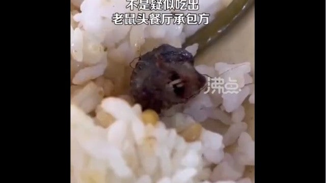 Aluno diz que encontrou cabeça de rato em prato. Escola diz que era pato