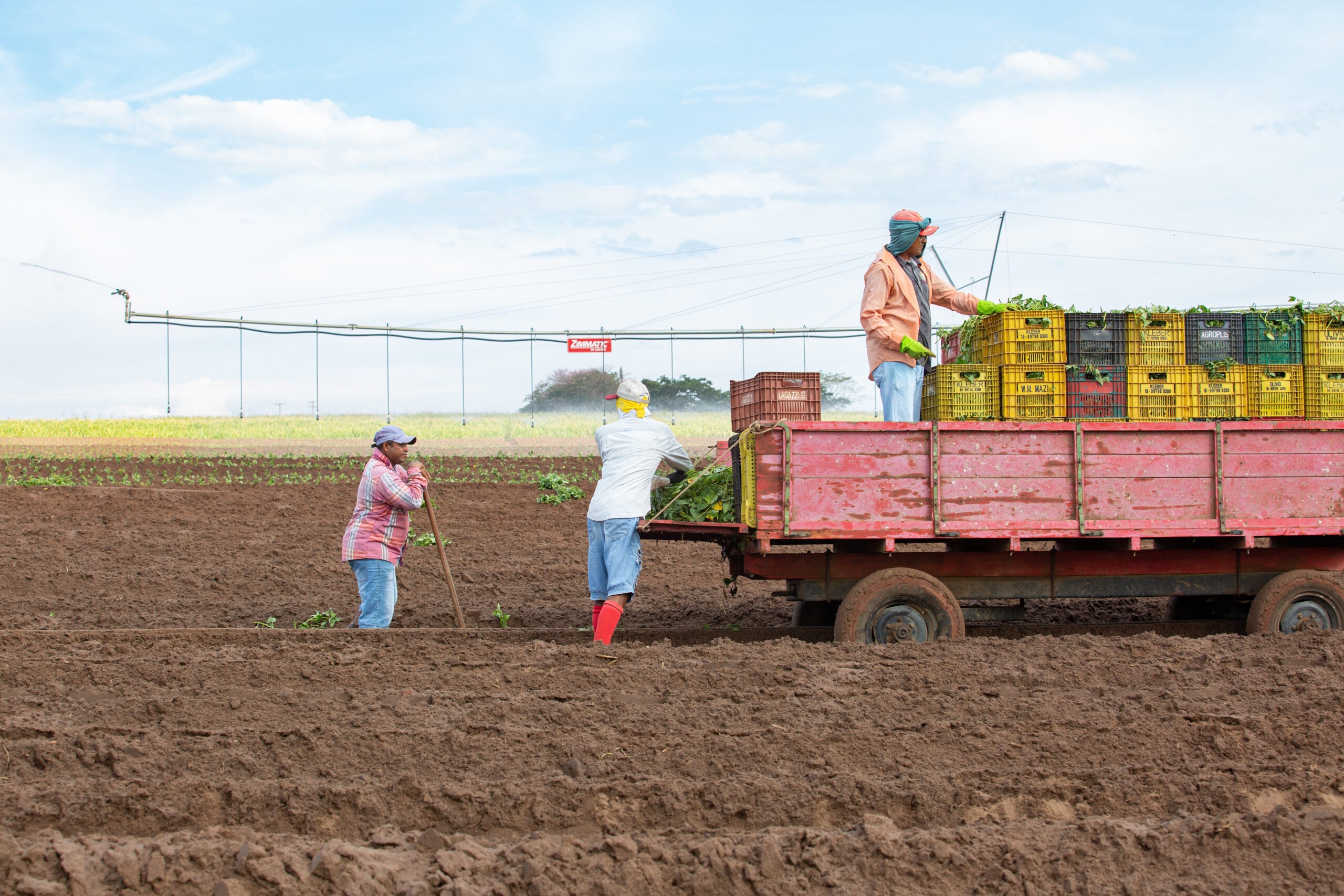 Cooperar é o caminho para aumentar a adesão de tecnologias no campo