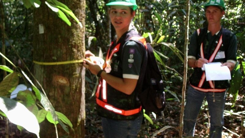Universidade Estadual de Mato Grosso está com matrículas abertas para o curso de Engenharia Florestal – Campus Alta Floresta