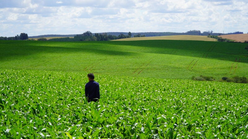 Custo de precisão requer atenção por parte dos agricultores