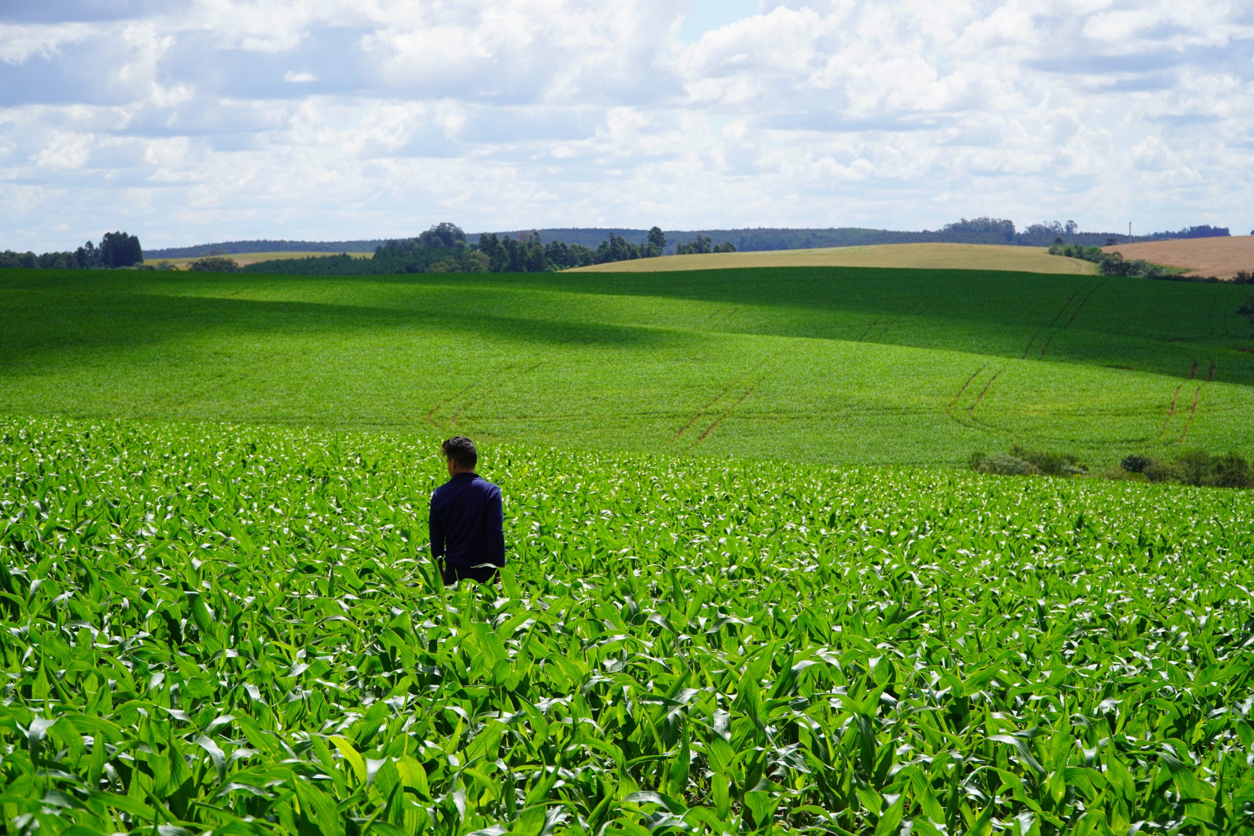 Custo de precisão requer atenção por parte dos agricultores
