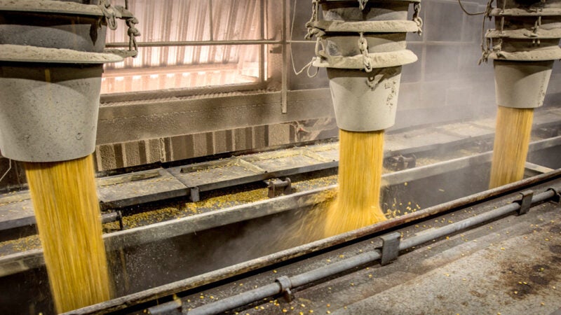 Venda de soja em Mato Grosso avança para abrir espaço em armazéns e preço médio é R$ 110