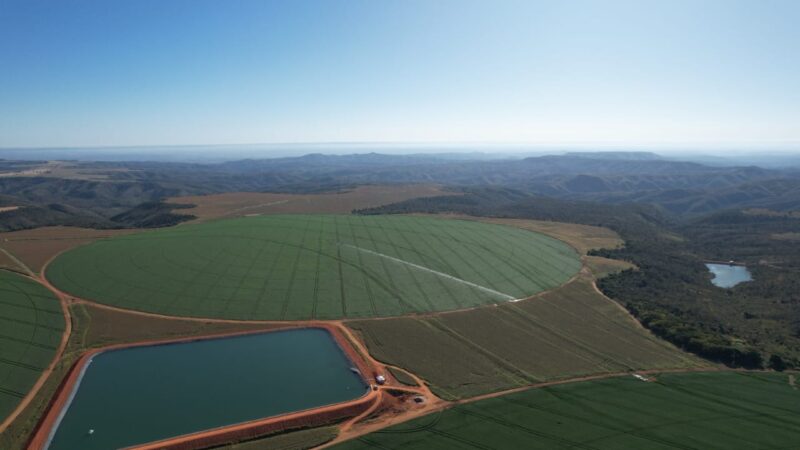 Produtor precisa redobrar atenção com focos de incêndio na estiagem