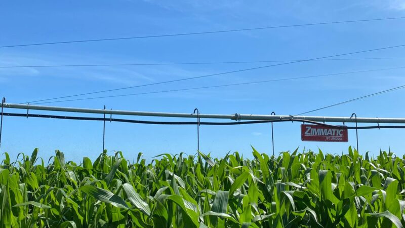 Irrigação tecnológica é a segurança para a agricultura familiar