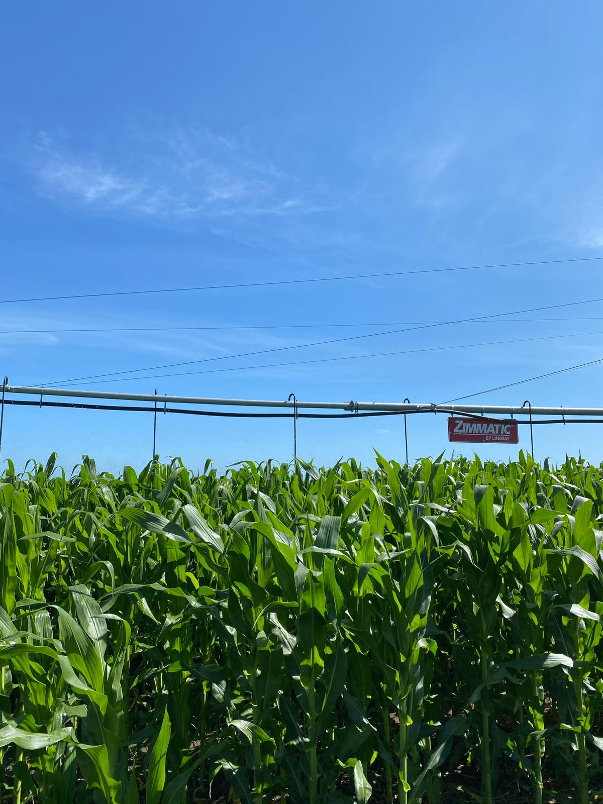 Irrigação tecnológica é a segurança para a agricultura familiar