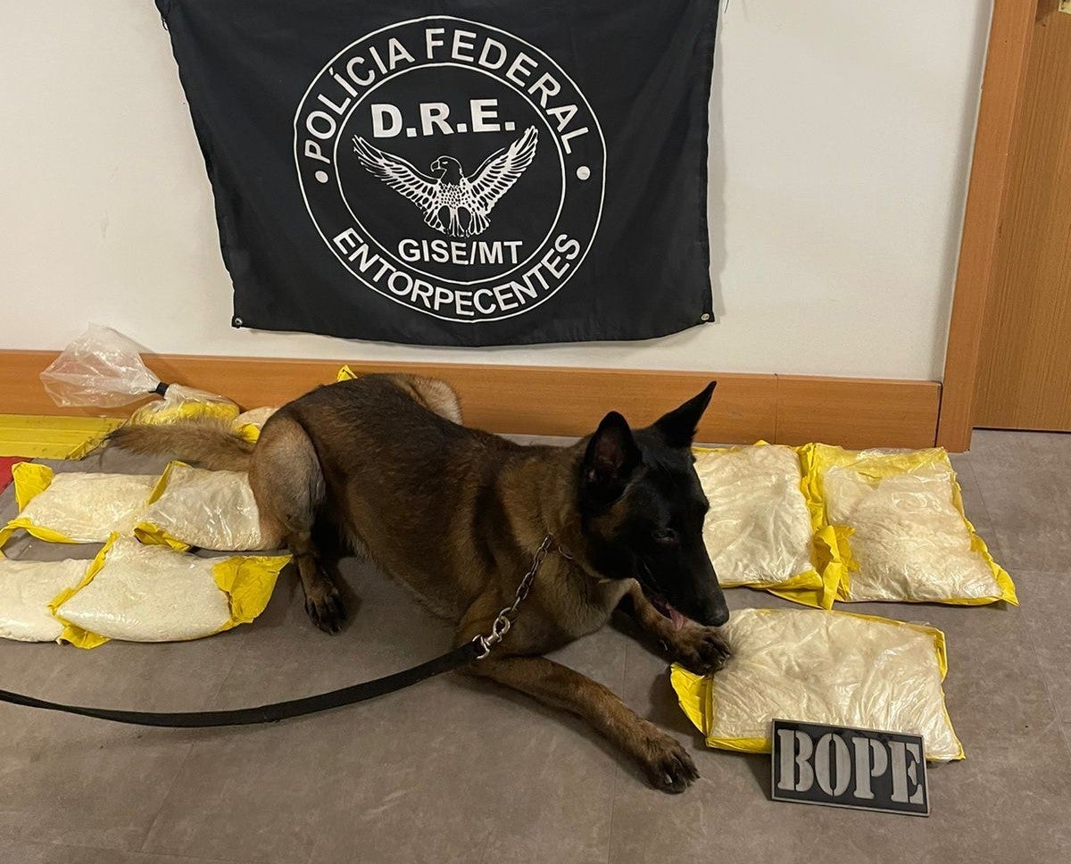 Cão do Bope encontra mais de 10 quilos de pasta base enrolados em passageiros no Aeroporto Marechal Rondon