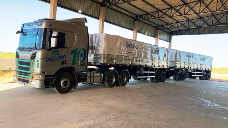 Lona branca no transporte rodoviário preserva qualidade de sementes