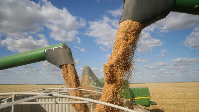 Brasil deve produzir 390 milhões de toneladas de grãos em dez anos, crescimento de 24,1%