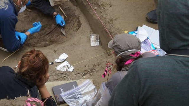 Caverna revela vida pré-histórica com preguiça-gigante na região de BH