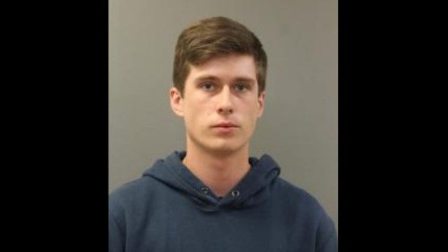 Jovem torturava e matava gatos e depois comprava novos para dar à mãe